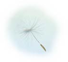seeds2